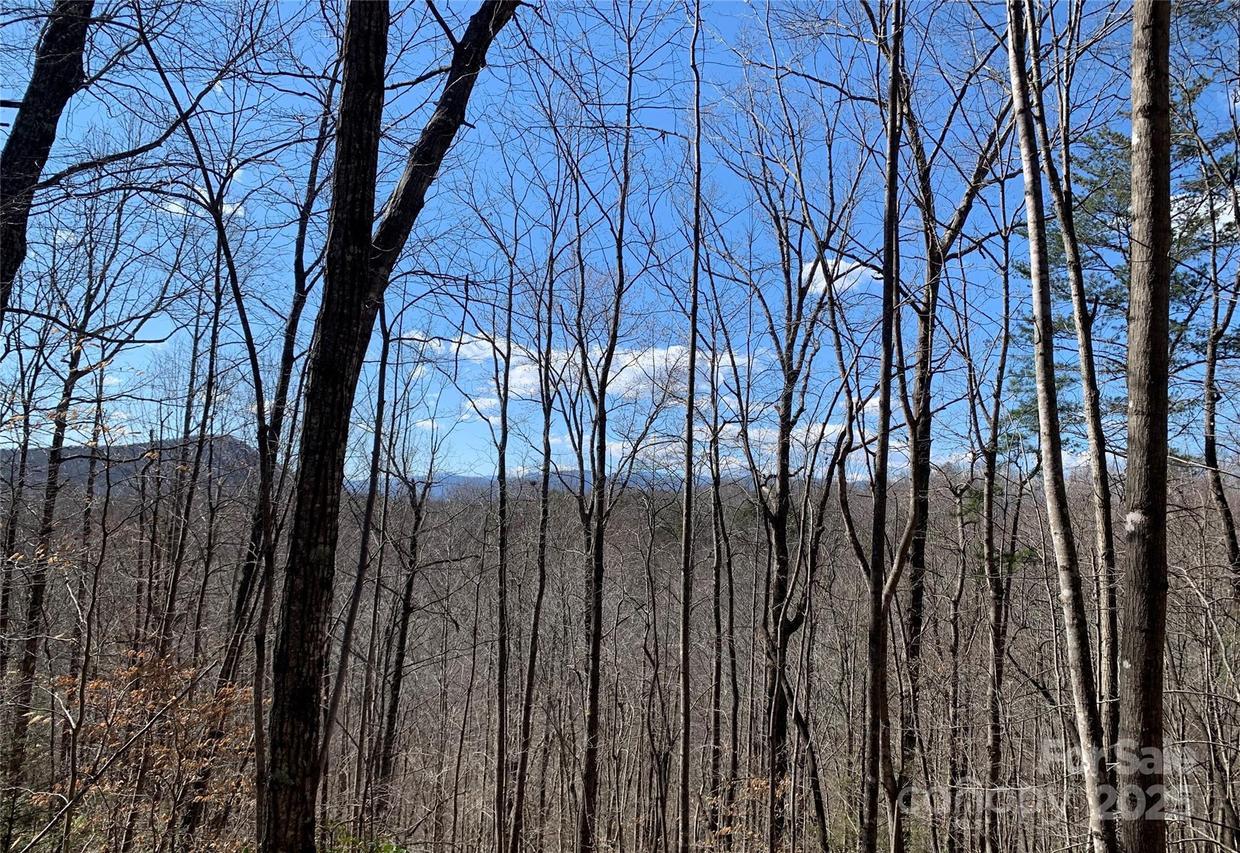 171 Woodchuck Ln. #118 & 119, Marion, NC 28752