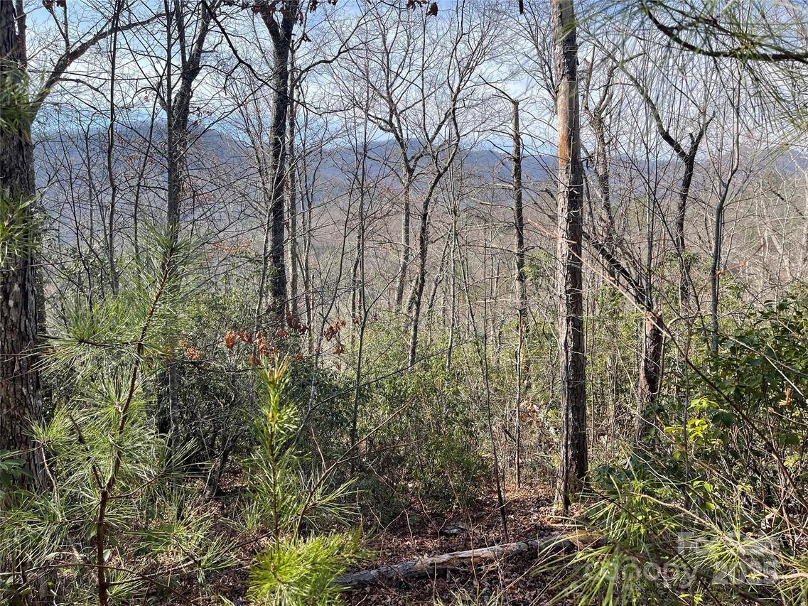 200 Artist Haven Ln. #4, 6 & 7, Sylva, NC 28779