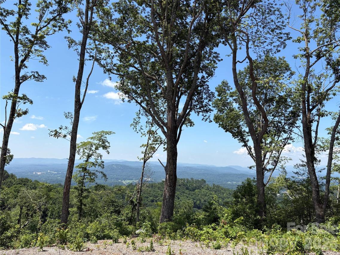 Lot 50 Mountain Grove Ln. #50, Fletcher, NC 28732