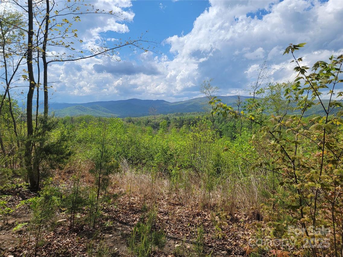 Shire Ln., Union Mills, NC 28167