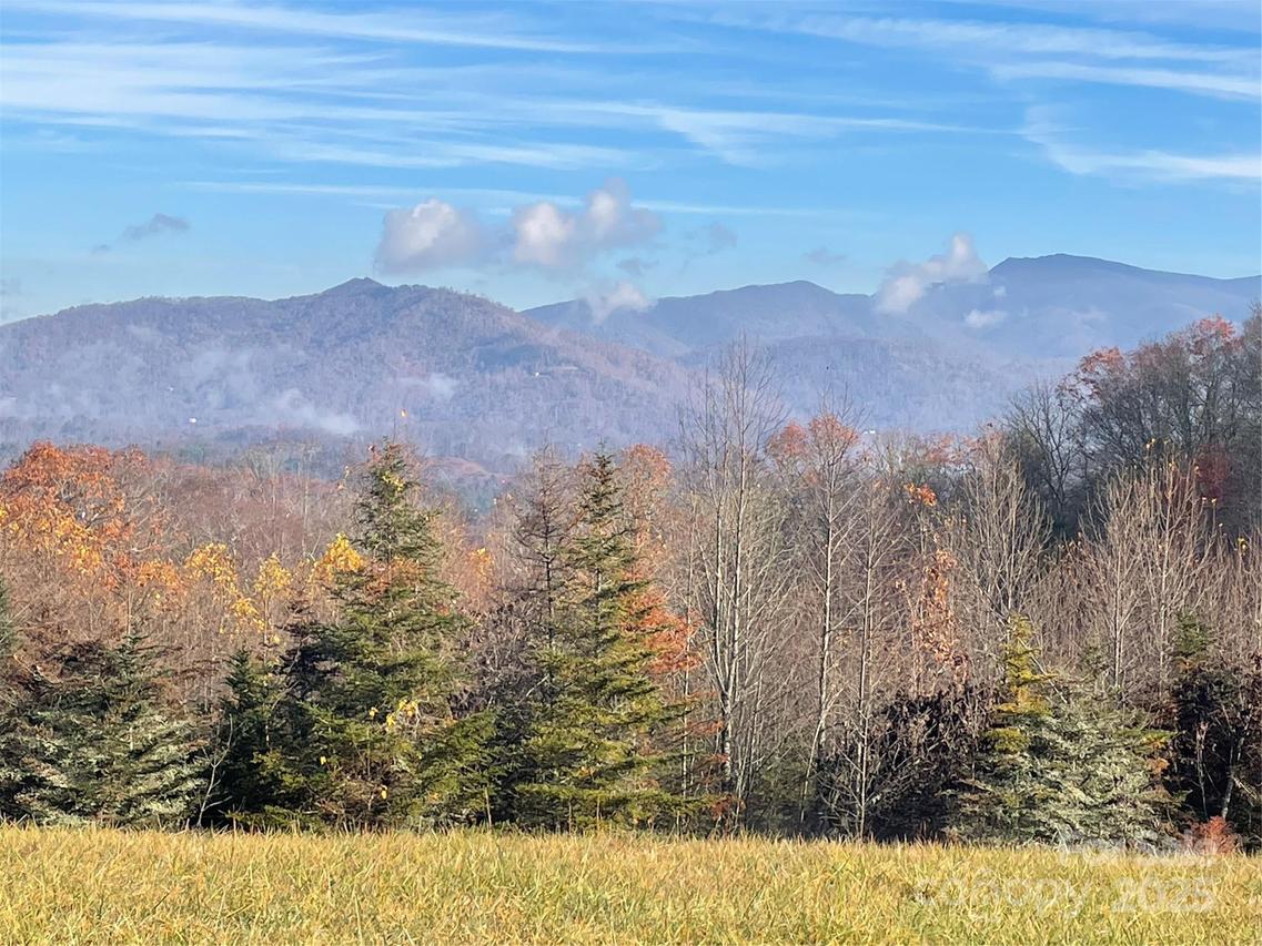 999 Chestnut Mountain Dr., Green Mountain, NC 28740