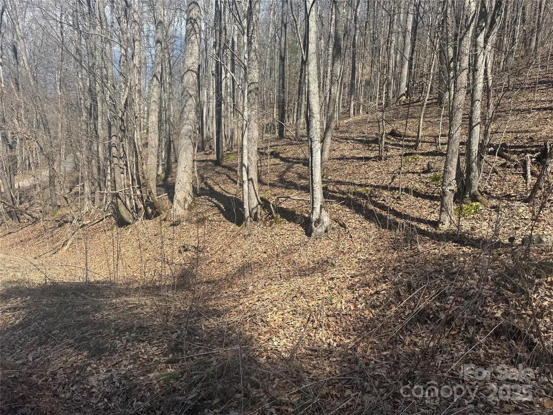 14 Lower Trillium Ln., Mars Hill, NC 28754