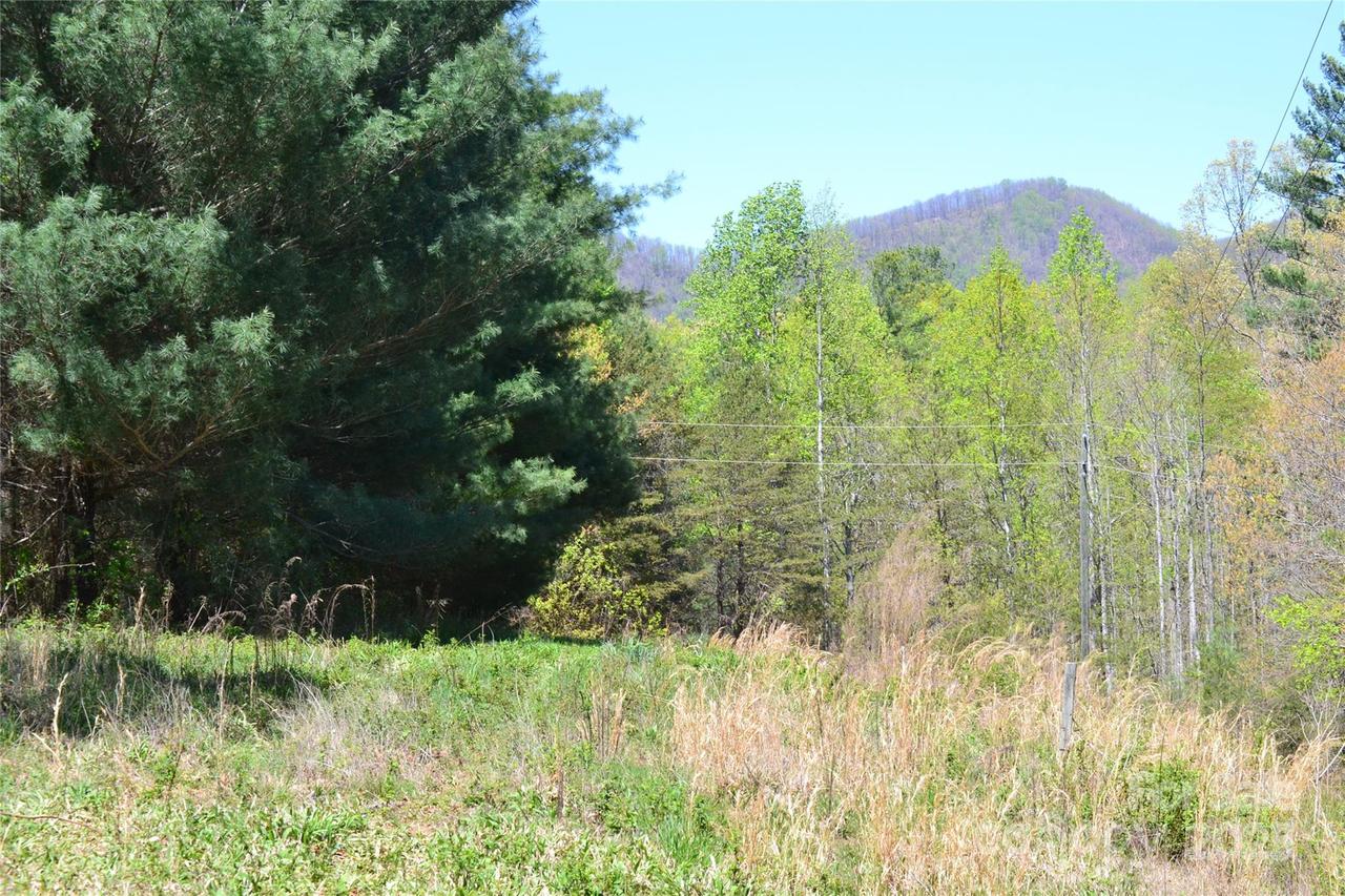00 Swaringen Rd., Traphill, NC 28685