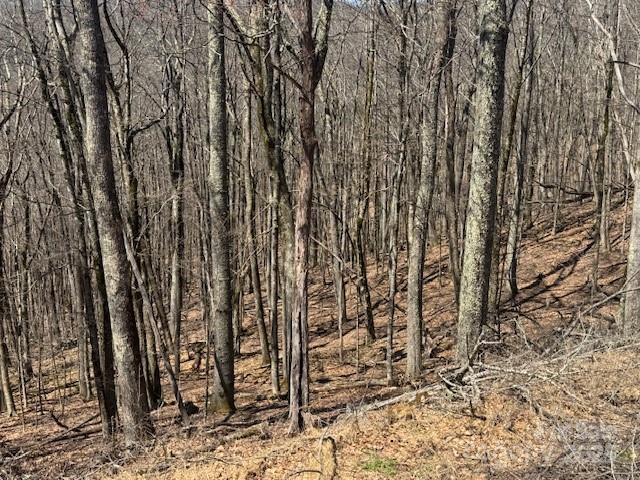 261 Grouse Thicket Ln., Mars Hill, NC 28754