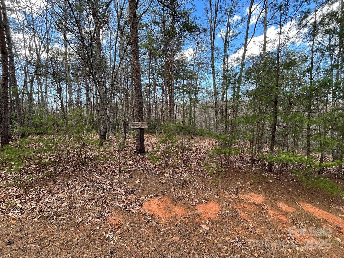 00 Grouse Ridge Dr., Bostic, NC 28018