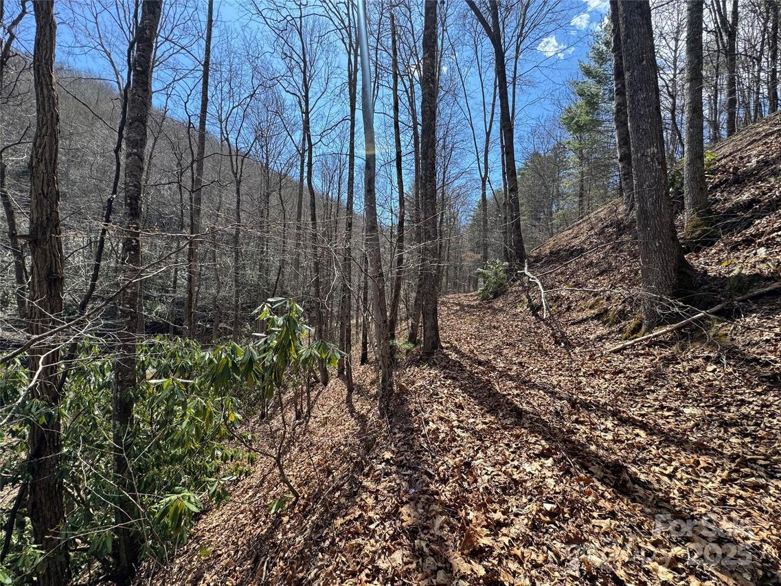 00 Thomas Brooks Dr. #22, Whittier, NC 28789