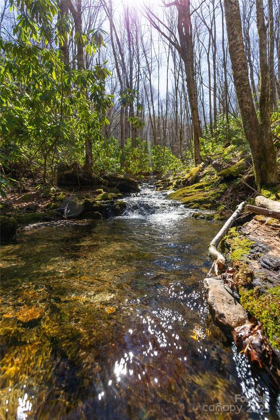 Lot 48c Bearwallow Ridge Tr. #48c, Qualla, NC 28719