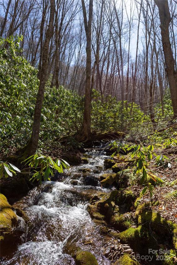 Lot 50 Bearwallow Ridge Tr. #50, Qualla, NC 28719