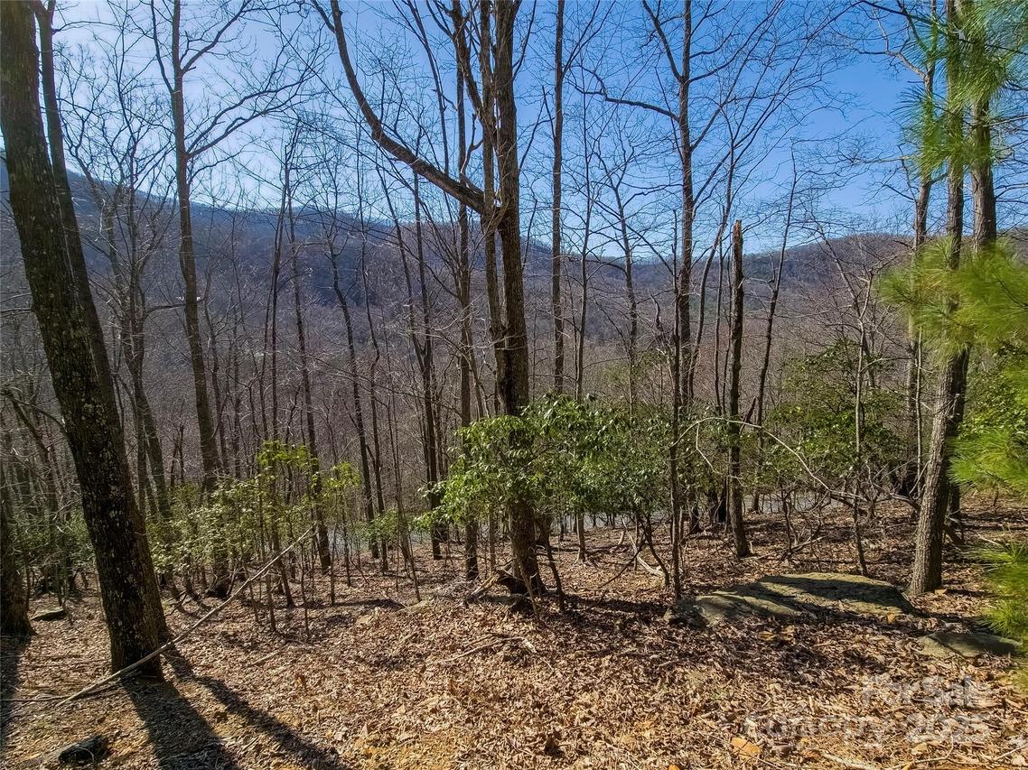 195 Smokemont Dr. #64, Arden, NC 28704