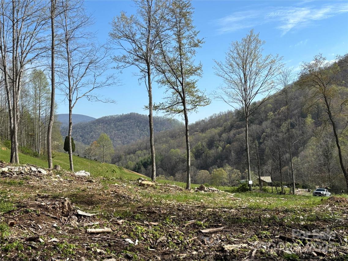 (NW Lot) TBD Silas Branch Rd., Burnsville, NC 28714