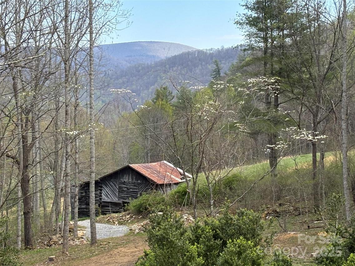 (East Lot) TBD Silas Branch Rd., Burnsville, NC 28714