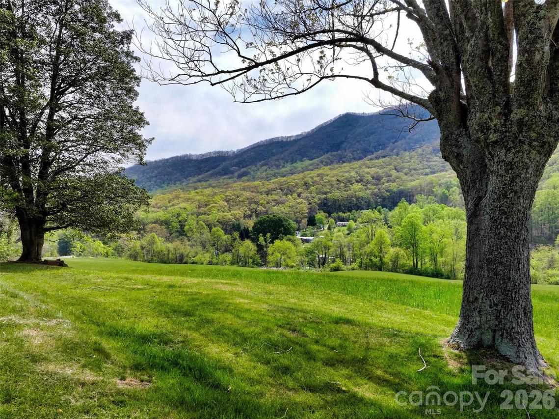 1567 Newfound Rd., Leicester, NC 28748