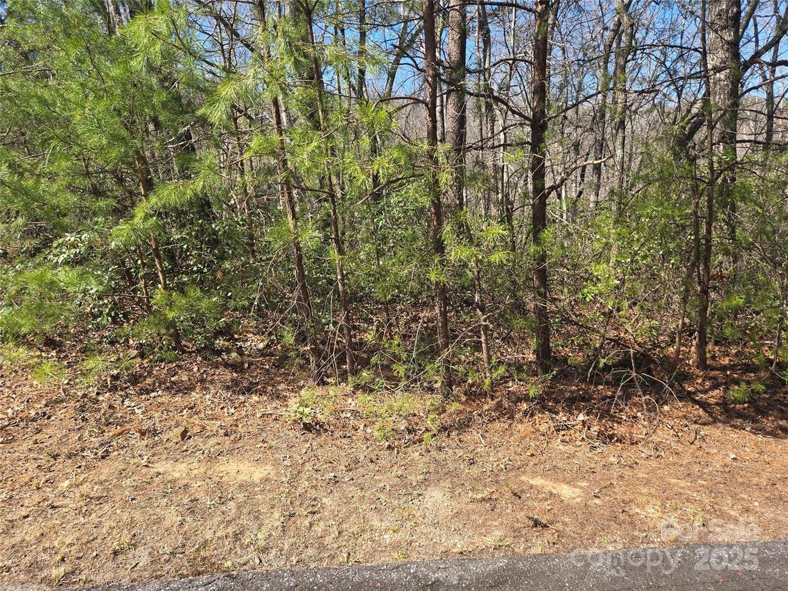 Lot 39 Flynn Ct. #39, Lake Lure, NC 28746