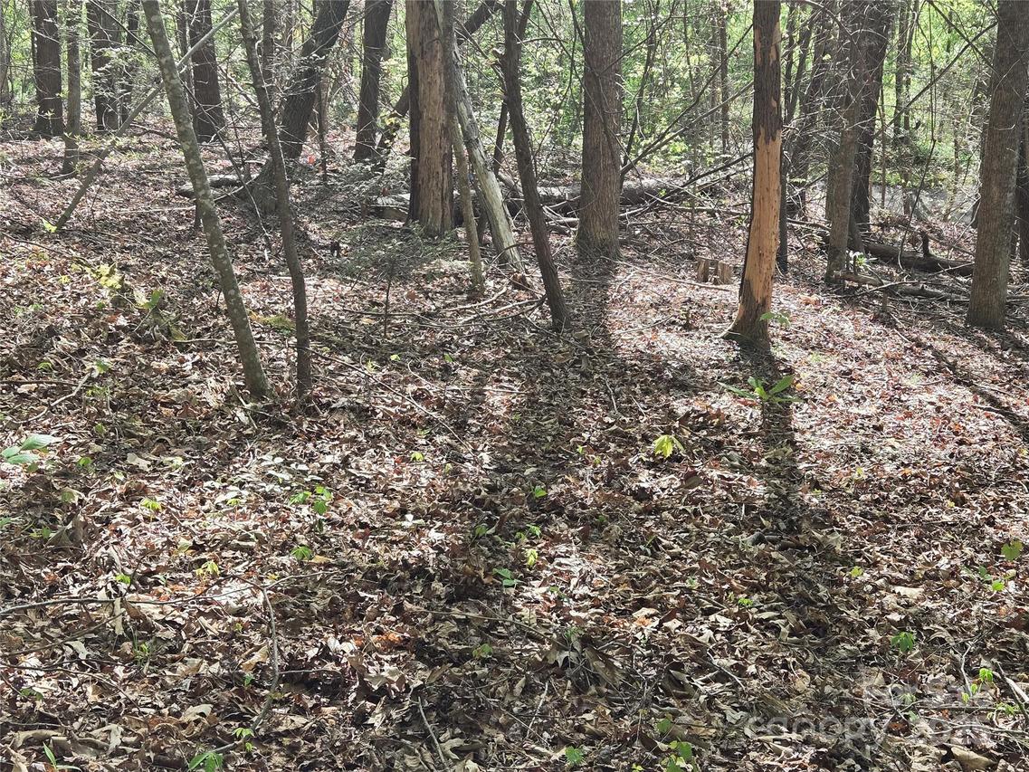 Lot 172 West Lake Dr., Lake Lure, NC 28746