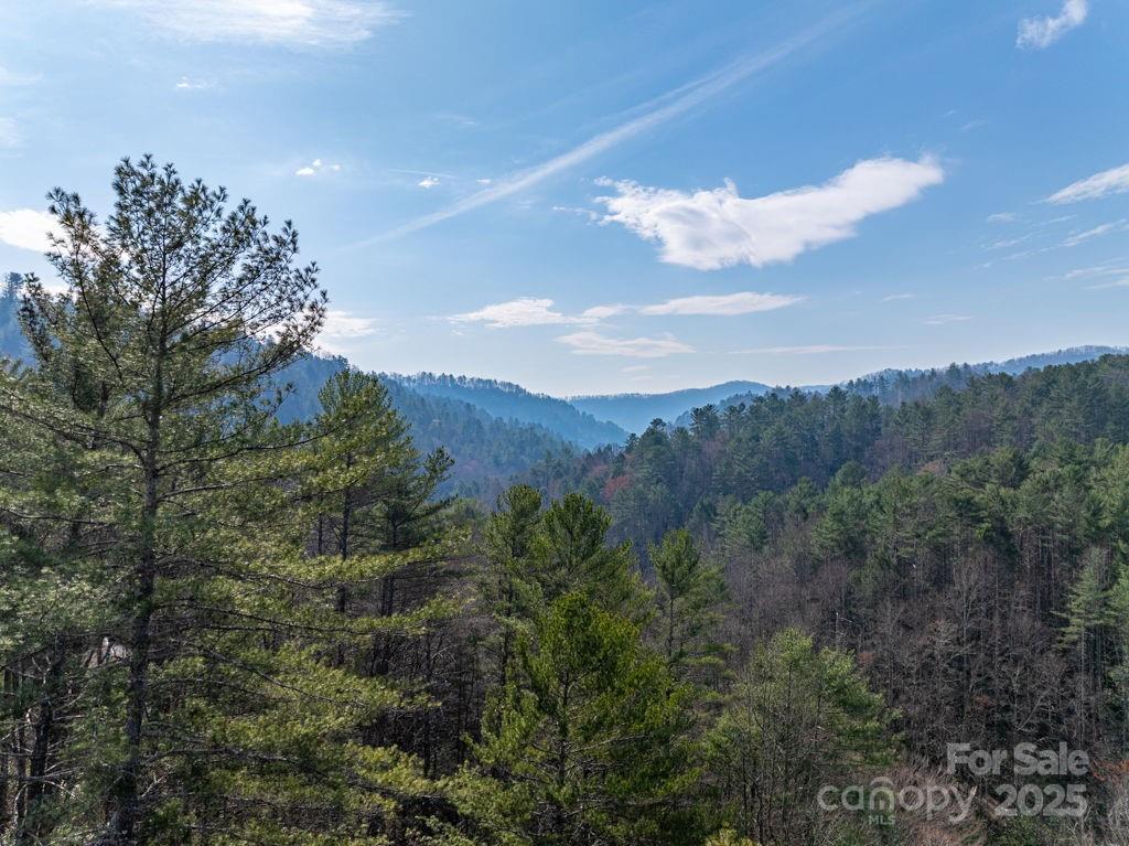 Wagon Ridge Rd., Ferguson, NC 28624