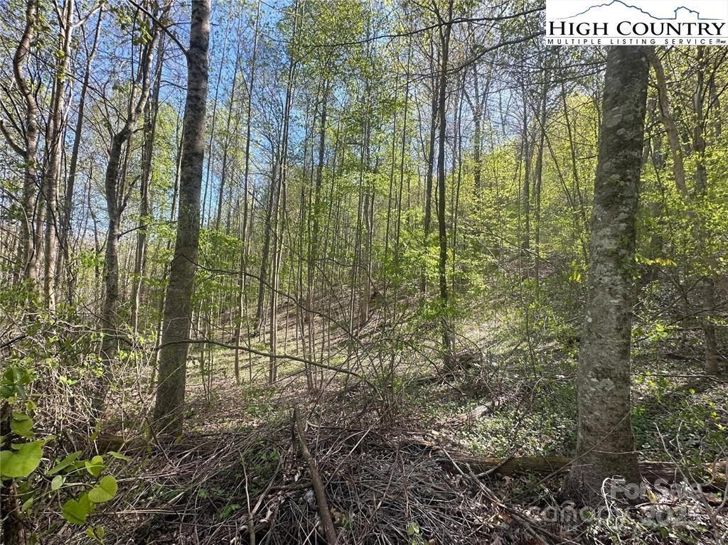 TBD Quail Hollow Dr. #27, Jefferson, NC 28640