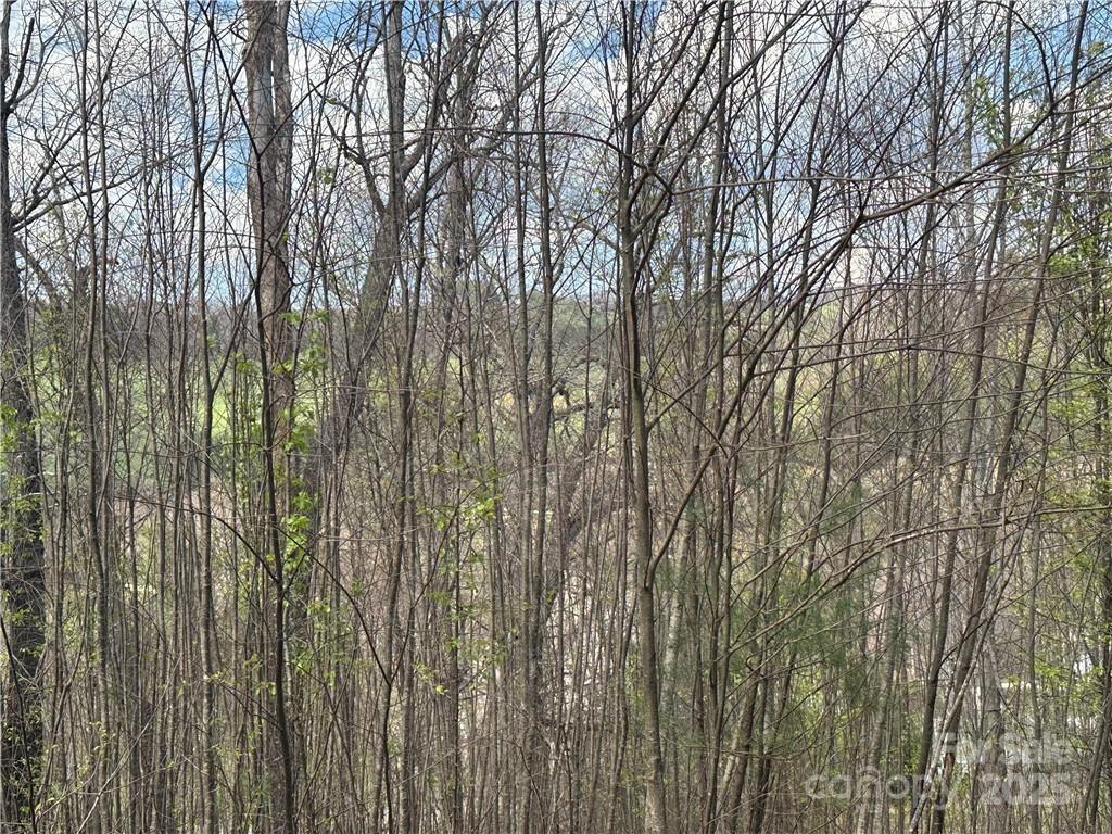 TBD E Landing Ridge #24, Jefferson, NC 28640