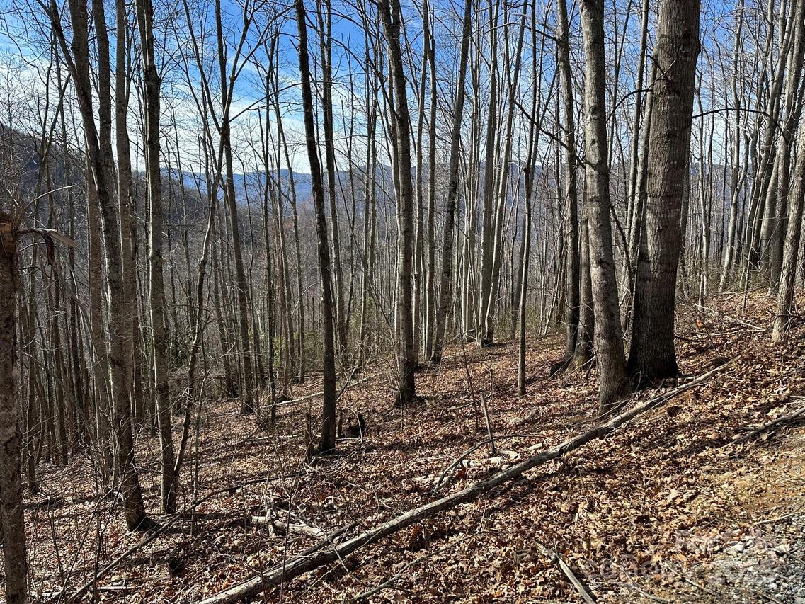 LT 262 Tote Rd. #262, Sylva, NC 28779
