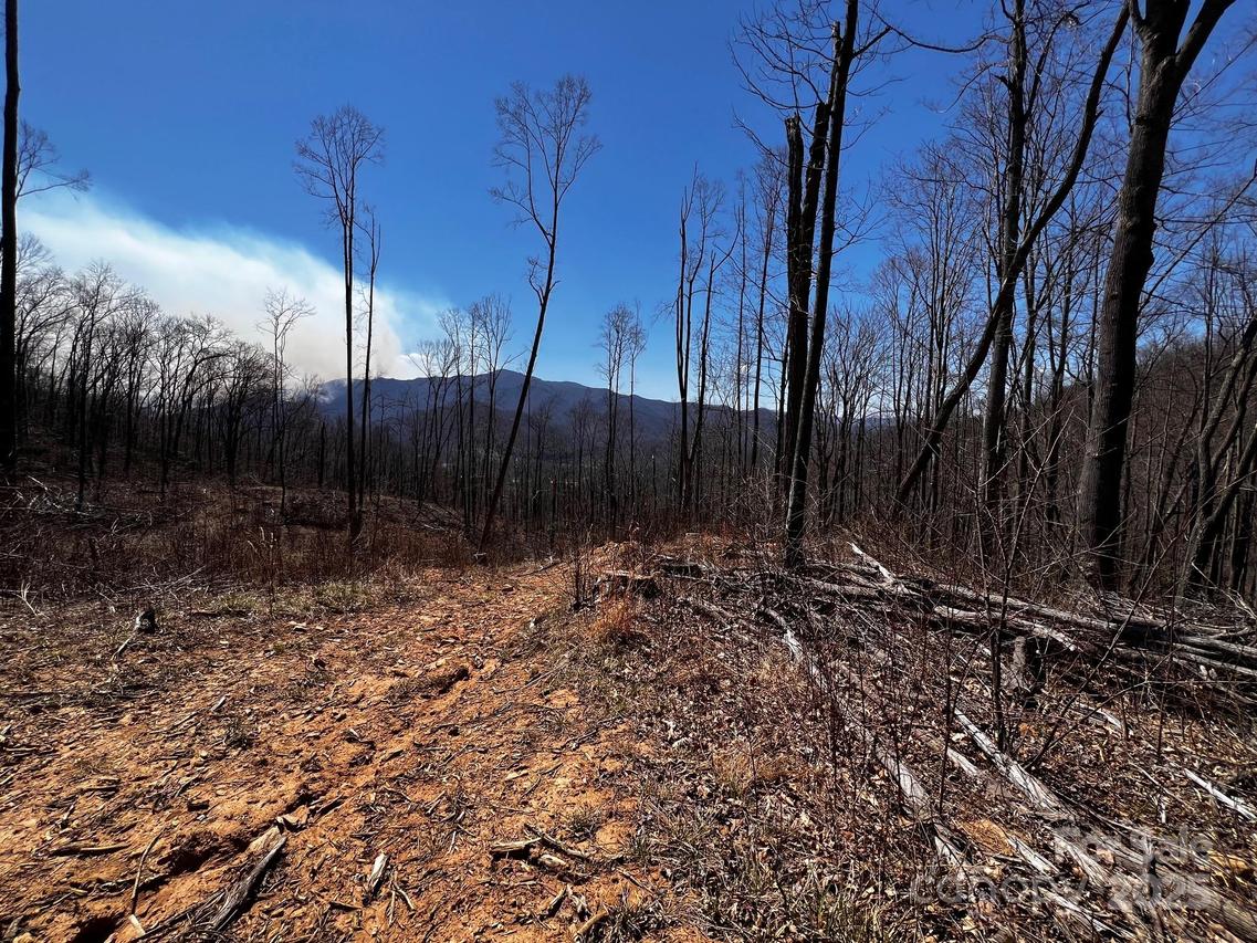 Rocky Face Dr. #RF-2, Canton, NC 28716