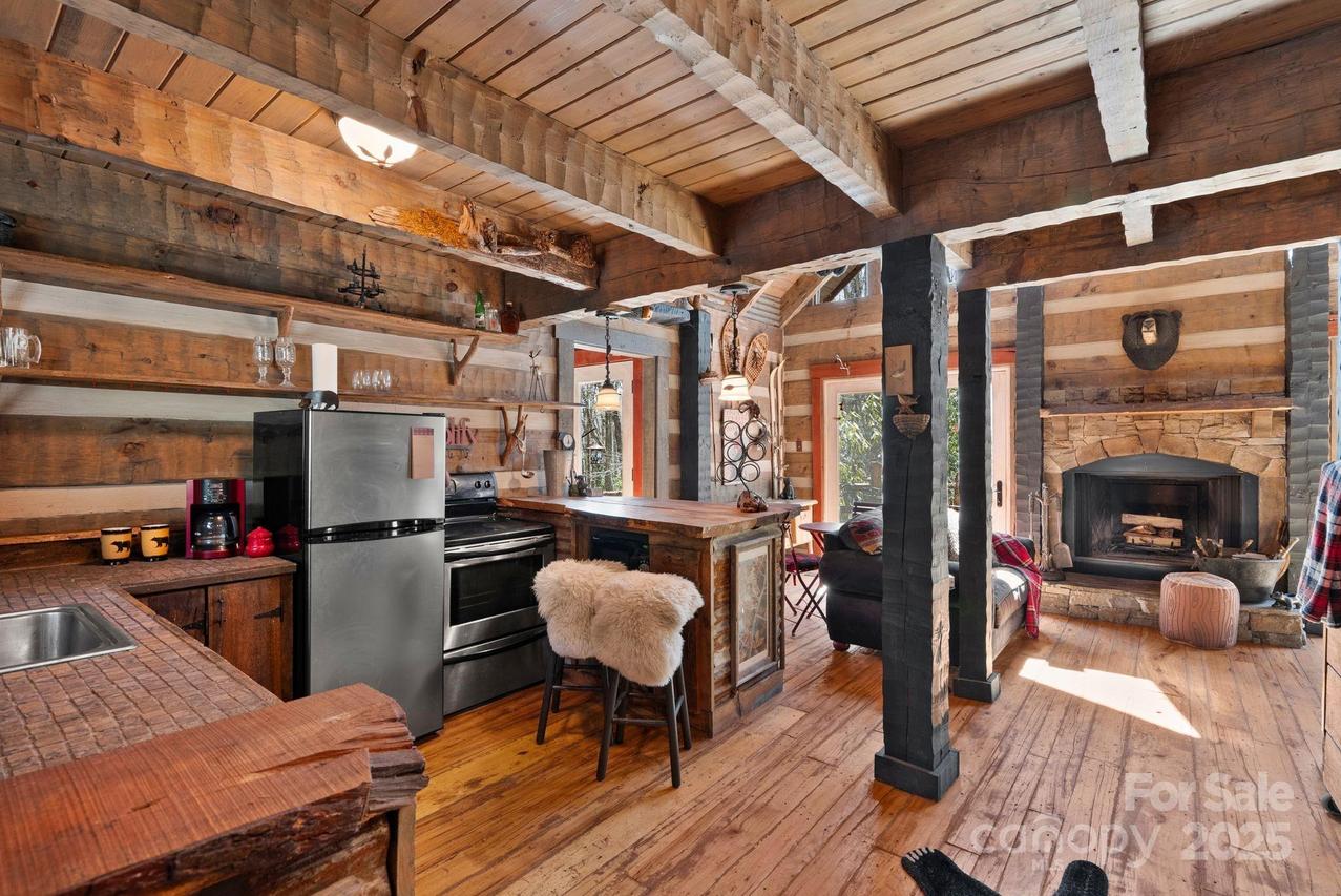 165 Pine Moss Tr., Hot Springs, NC 28743