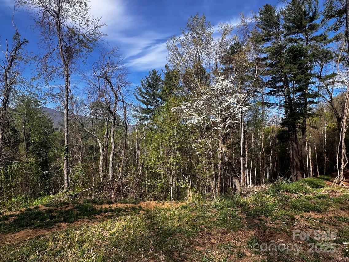 Little Creek Dr. #5A, Canton, NC 28716