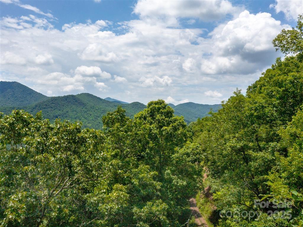 21 Long Winding Rd. #4,5,7,11,12,14,15, Sylva, NC 28779