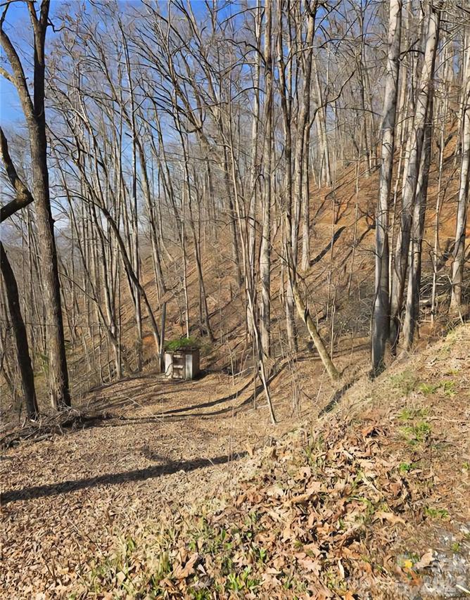 32 Black Mountain Rd., Cullowhee, NC 28723