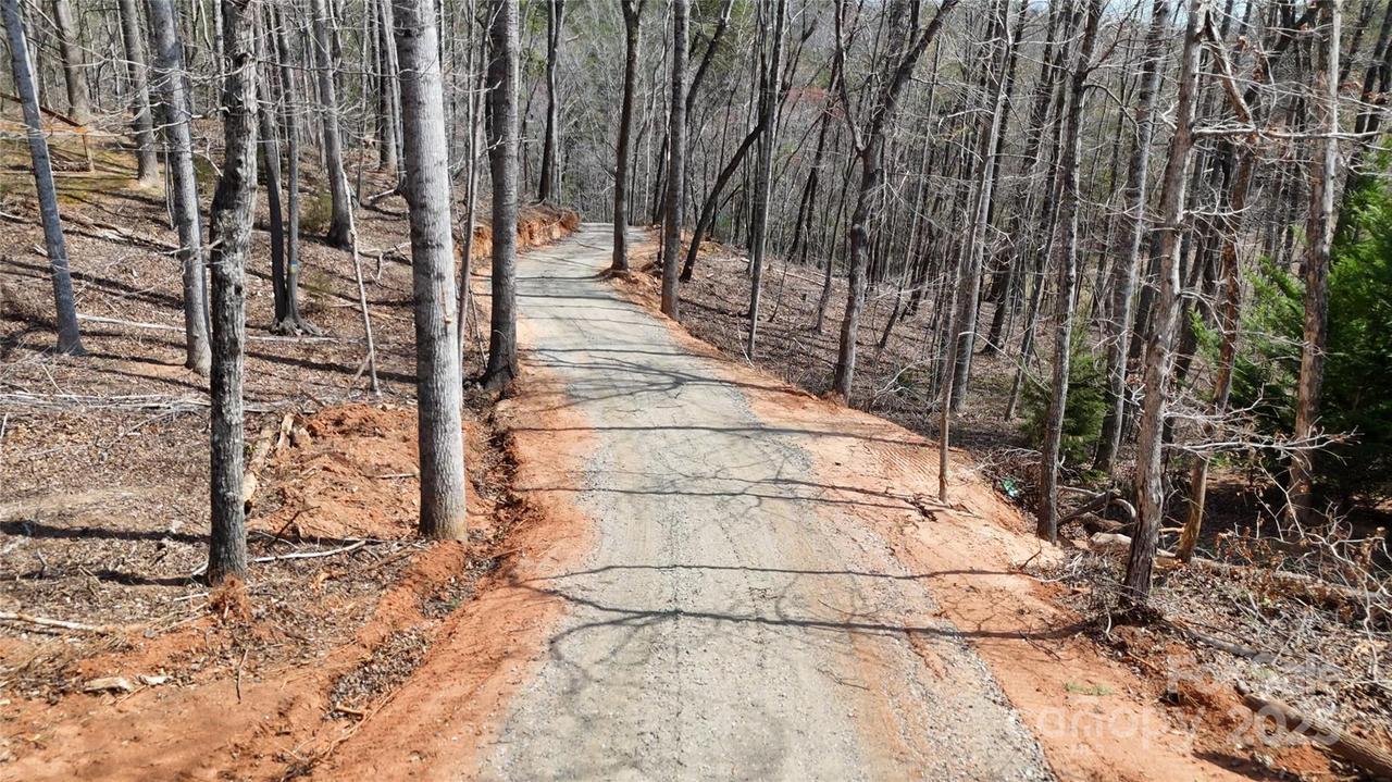 19.75 Acres King Stepp Rd., Mill Spring, NC 28756