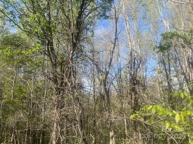 Bee Tree Rd., Salisbury, NC 28146