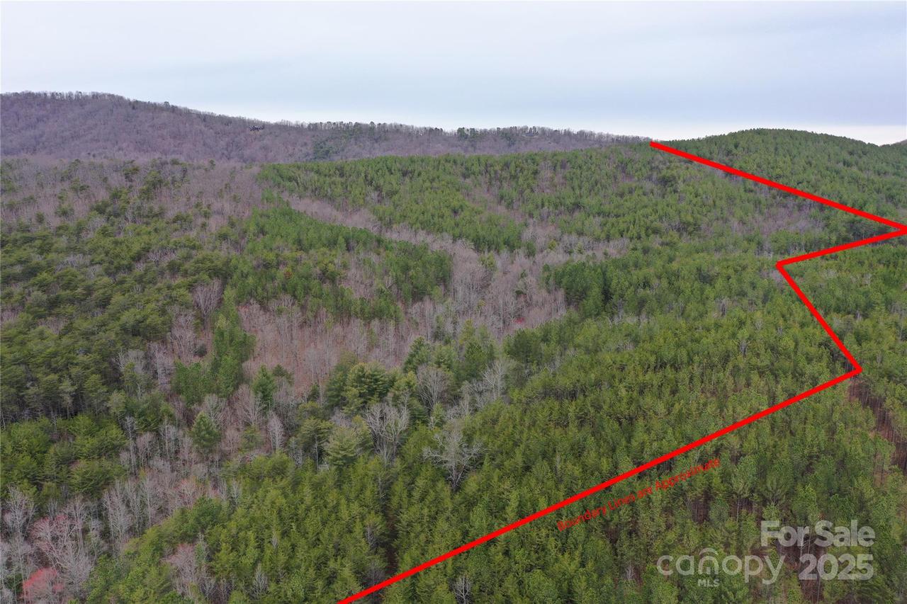 Wards Gap Rd., Casar, NC 28020