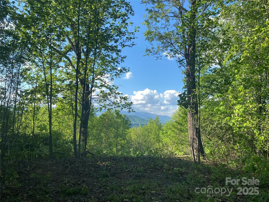 1099 Mitchell View Dr. #915/915A, Old Fort, NC 28762