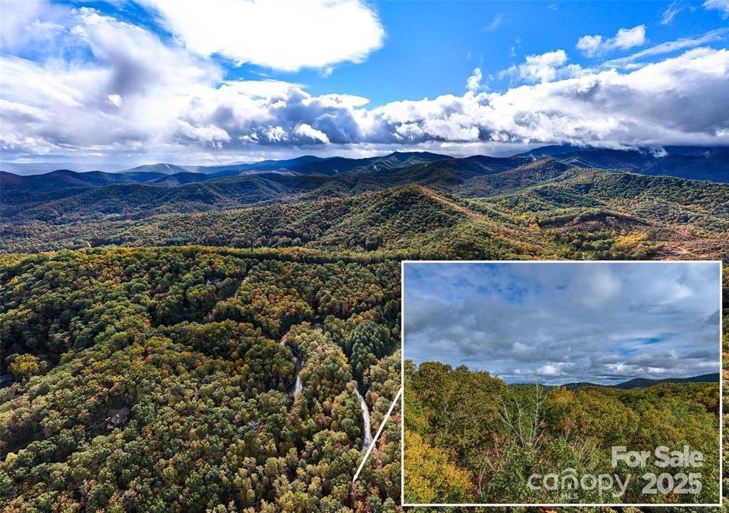 99999 Caddis Ln. #91, Mills River, NC 28742