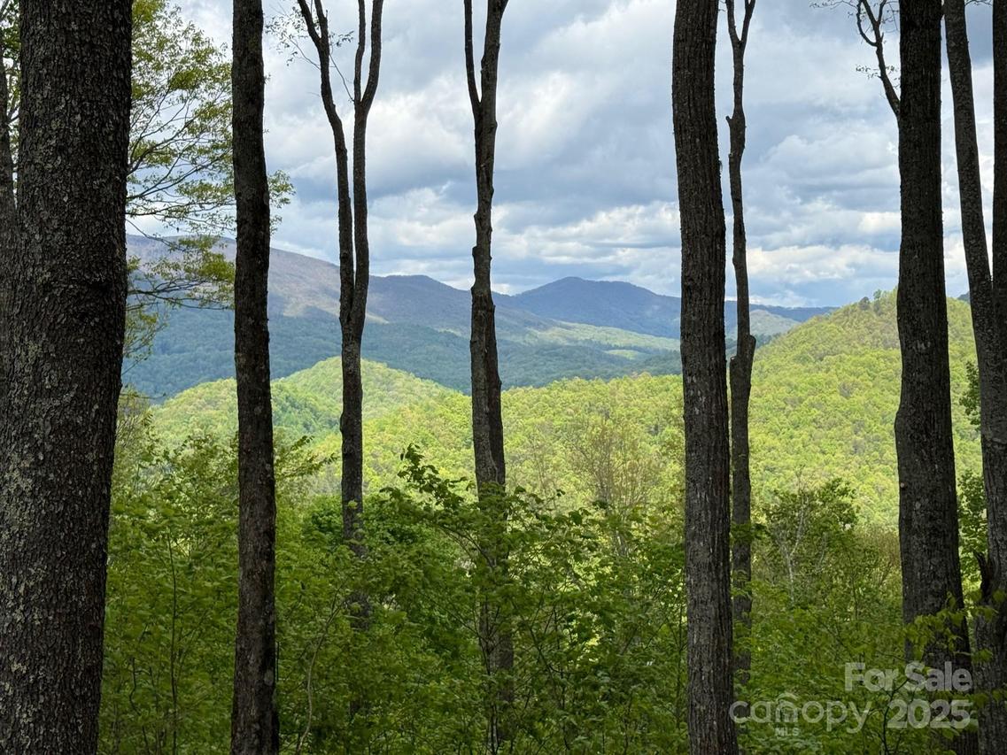 1817 E Reach Rd. #216, Sylva, NC 28779