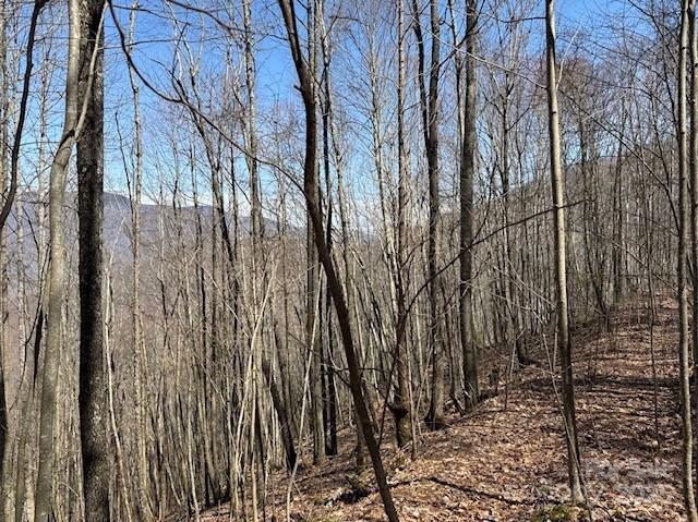 140 Boar Ridge Rd., Sylva, NC 28779