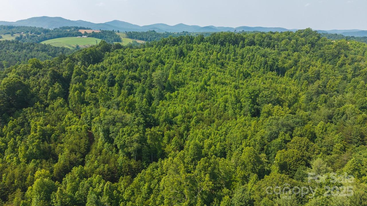 Old Vashti Rd. #2, Taylorsville, NC 28681