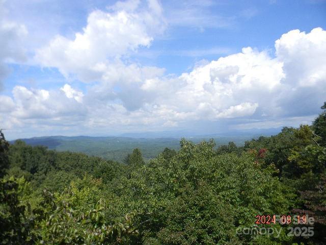 7866 Pinnacle Mountain Rd. #3 & 4, Zirconia, NC 28790