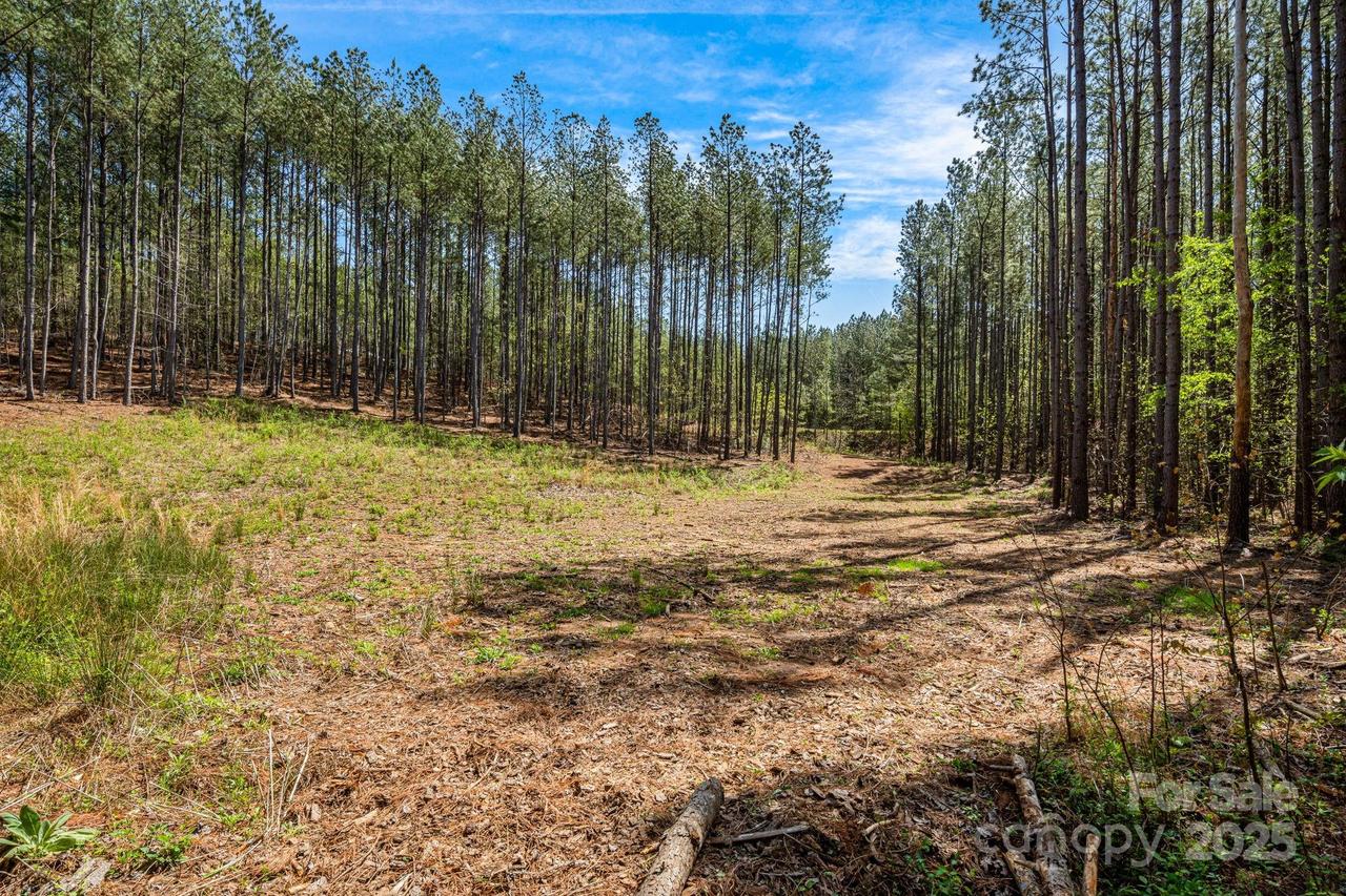 19 Sunset Dr., Mill Spring, NC 28756