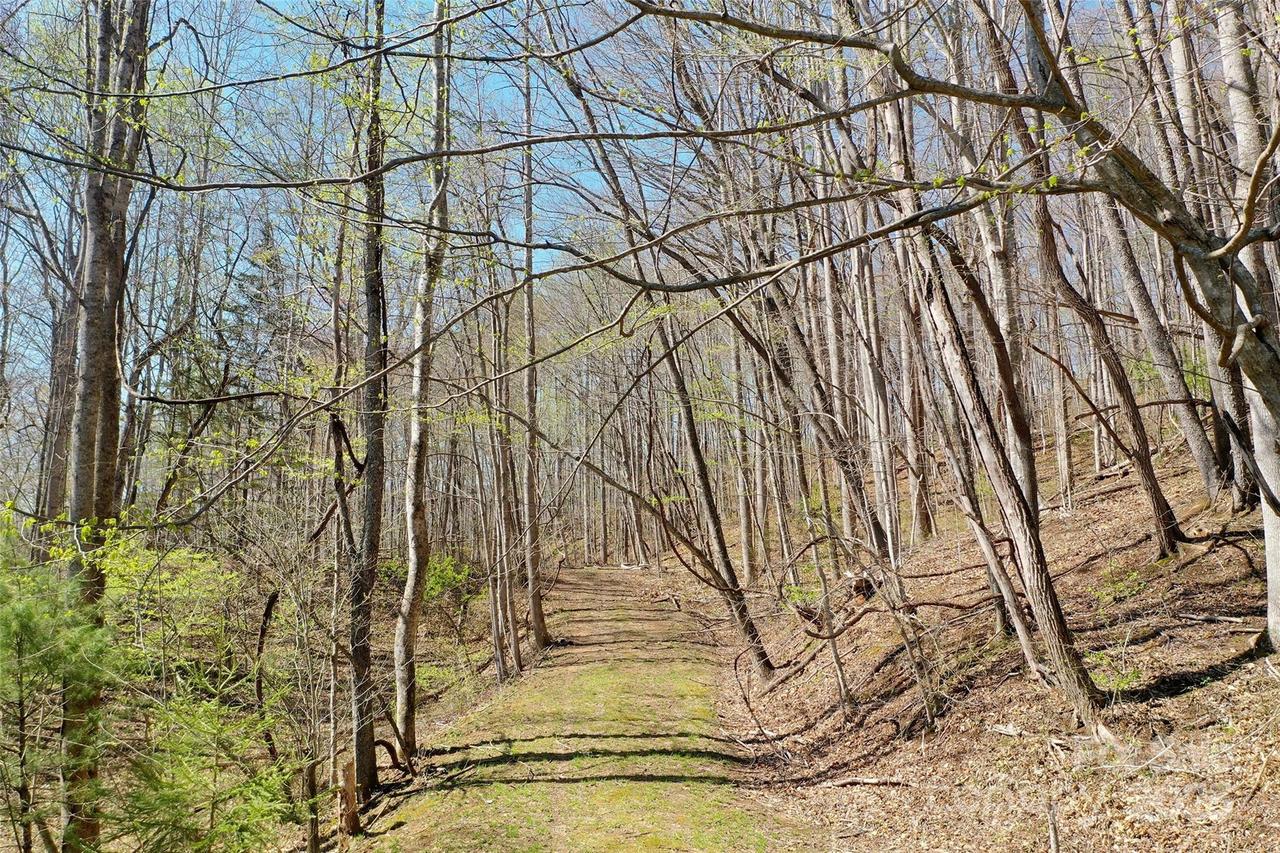 Tract 1,2 & 3 Top Drop Ln., Sylva, NC 28779