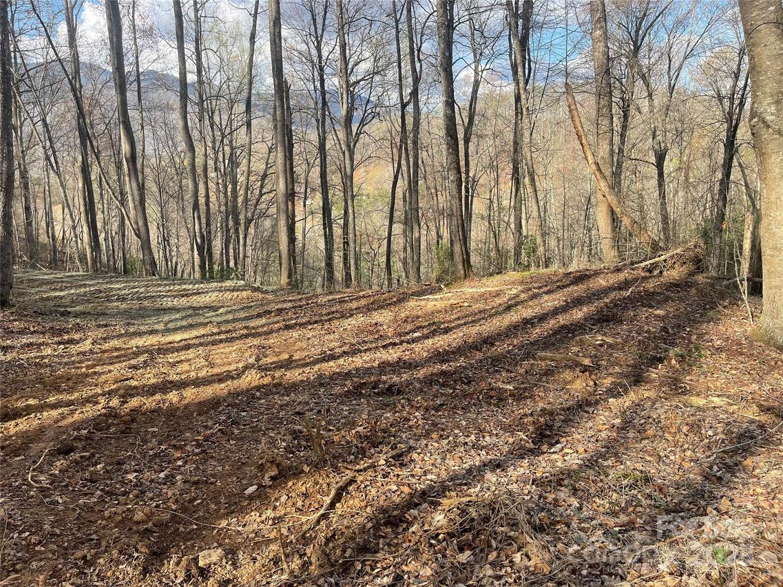 4 Copperhead Cove, Sylva, NC 28779