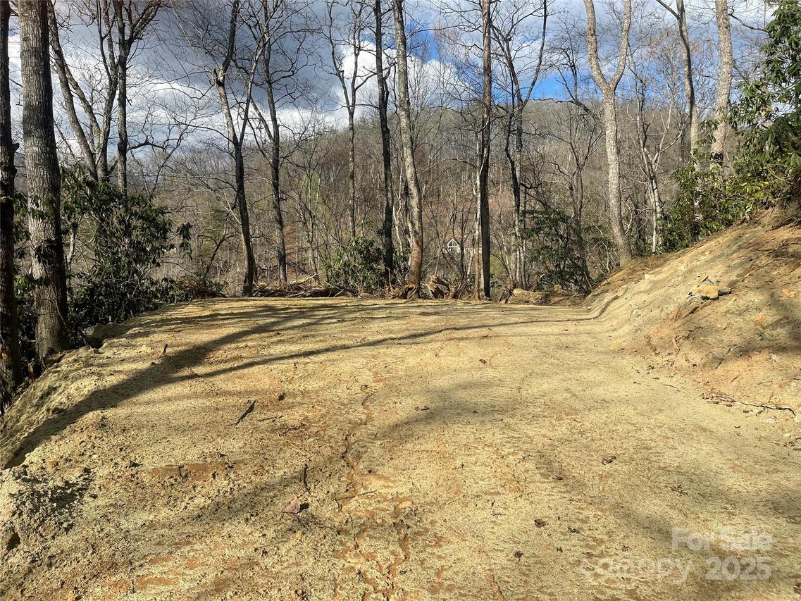 5 Copperhead Cove, Sylva, NC 28779