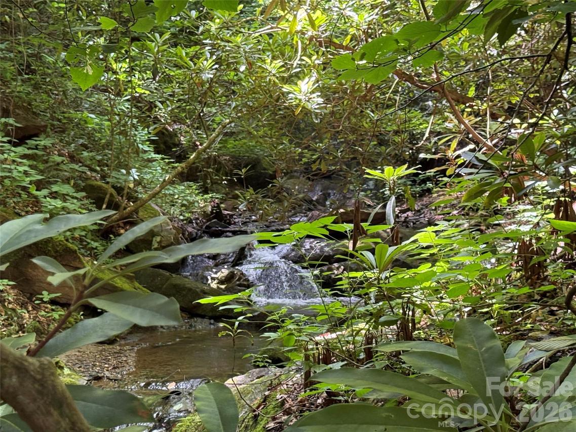 5 Copperhead Cove, Sylva, NC 28779