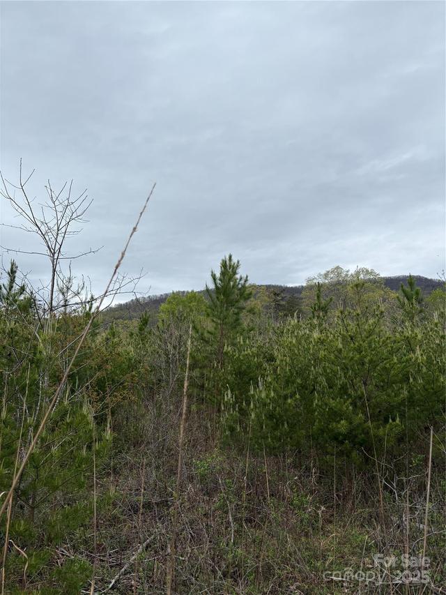 Rose Hollow Dr. #Tract 1, Mill Spring, NC 28756