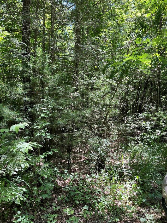 00 Pleasant Grove Church Rd., Hendersonville, NC 28792