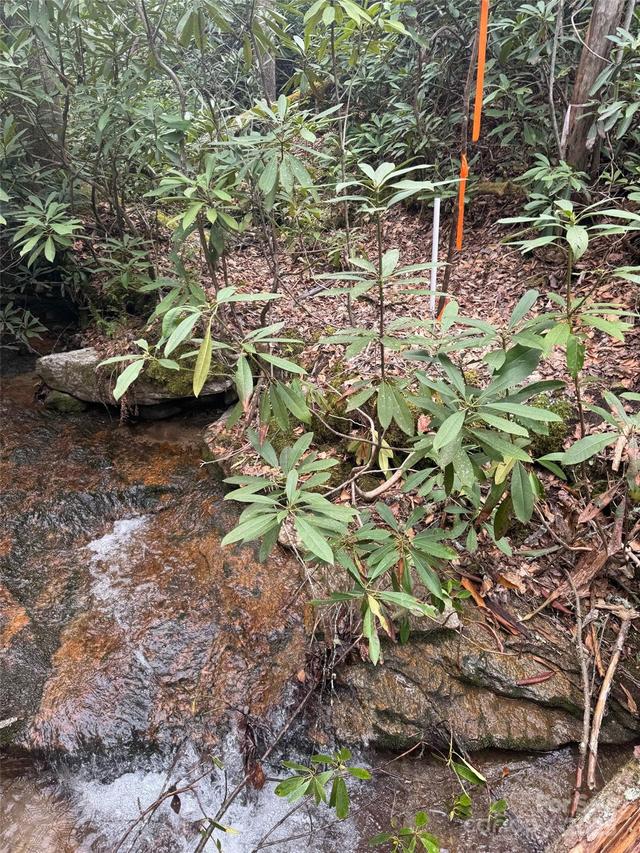 Tract A Cherrywood Ln. #A, Pisgah Forest, NC 28768