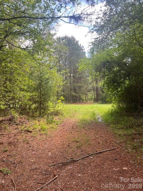 tbd Pleasant Hill Church Rd., Wadesboro, NC 28170