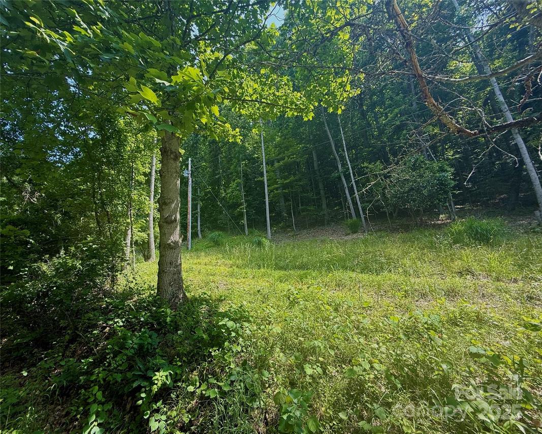 700 Wooded Mountain Tr., Mars Hill, NC 28754