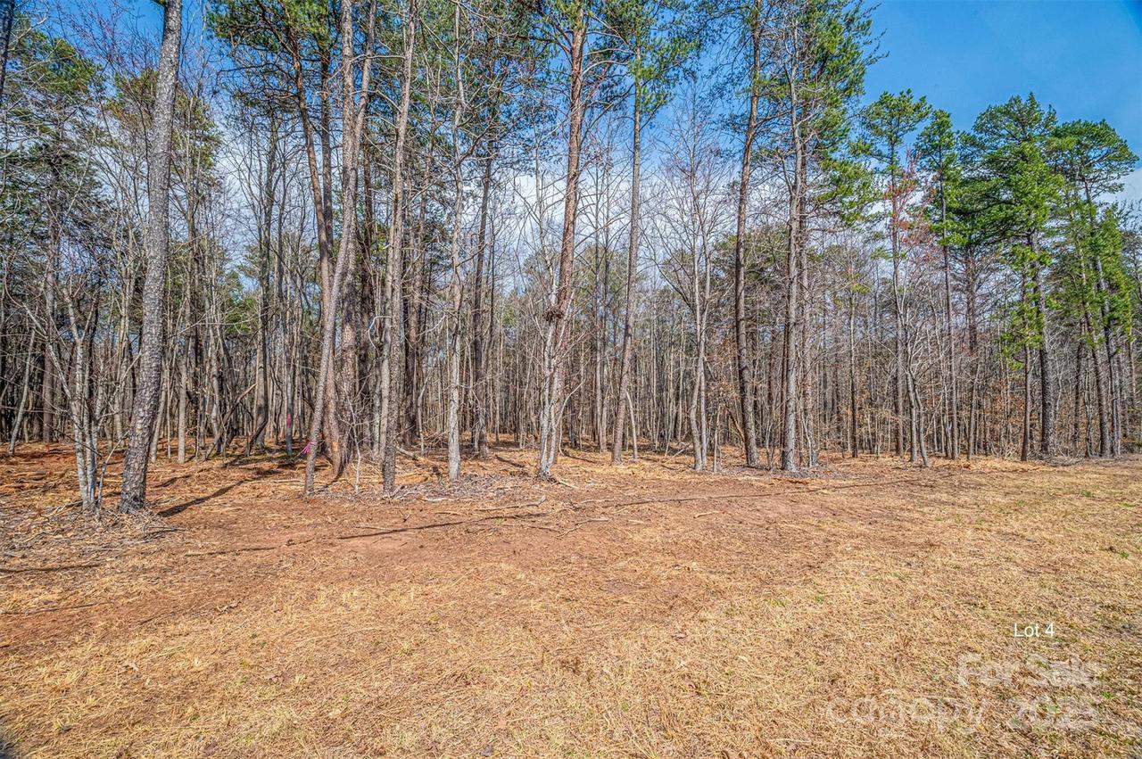 00 Forney Hill Rd. #4, Denver, NC 28037