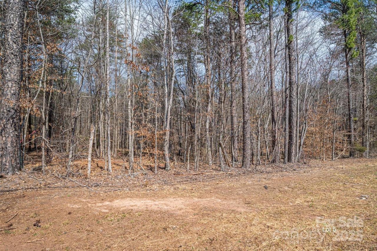 00 Forney Hill Rd. #5, Denver, NC 28037