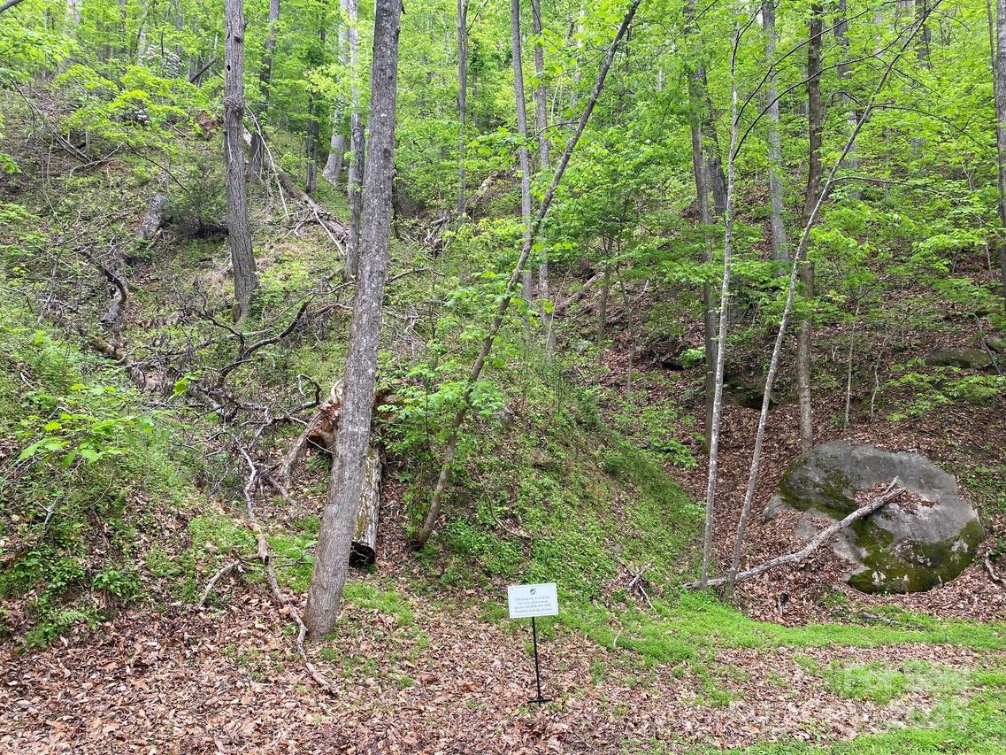 South Dr. #51, Lake Lure, NC 28746