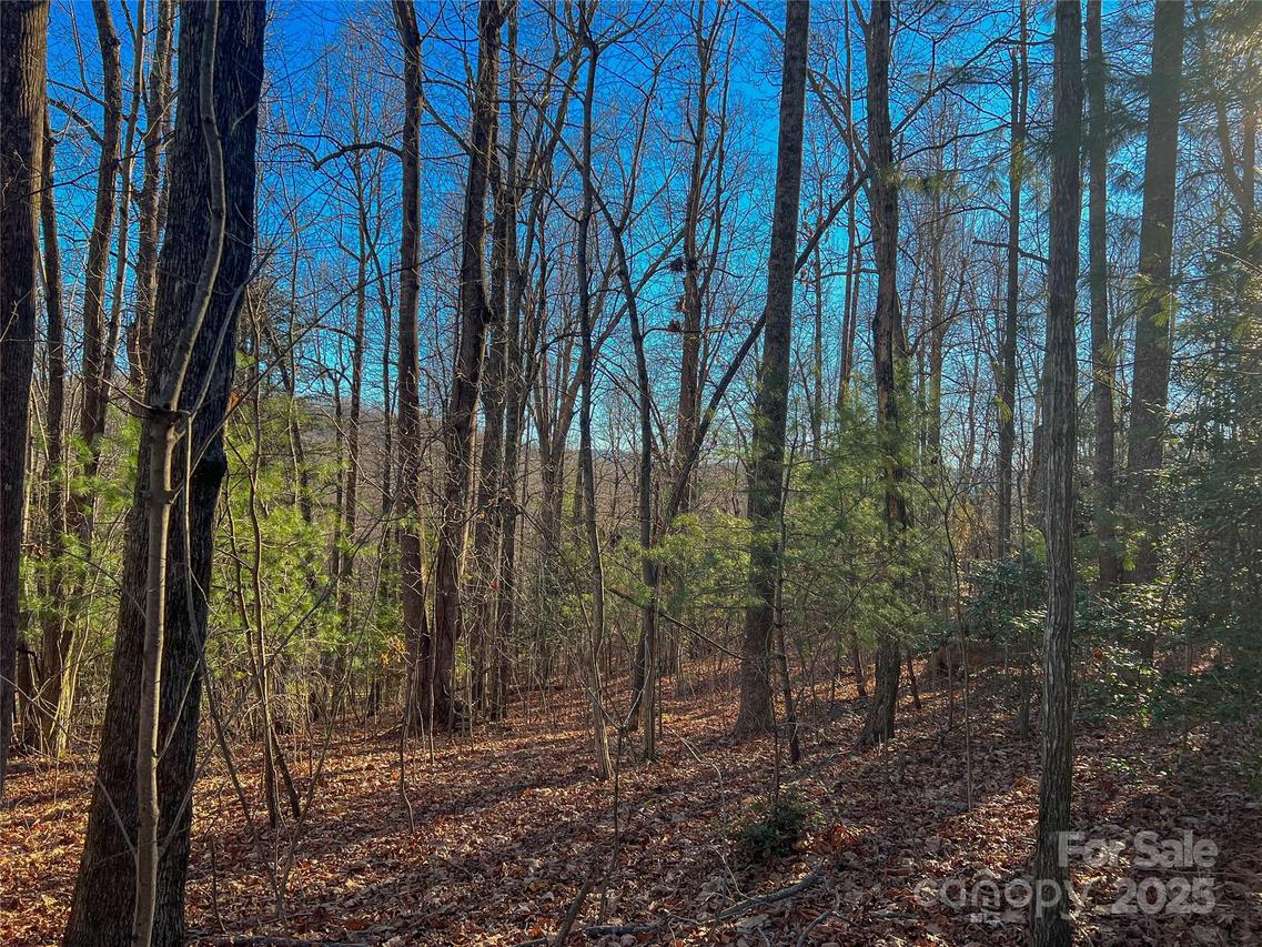 203 Bent Pine Trace #179, Hendersonville, NC 28739